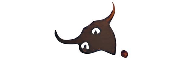 Texas Steer